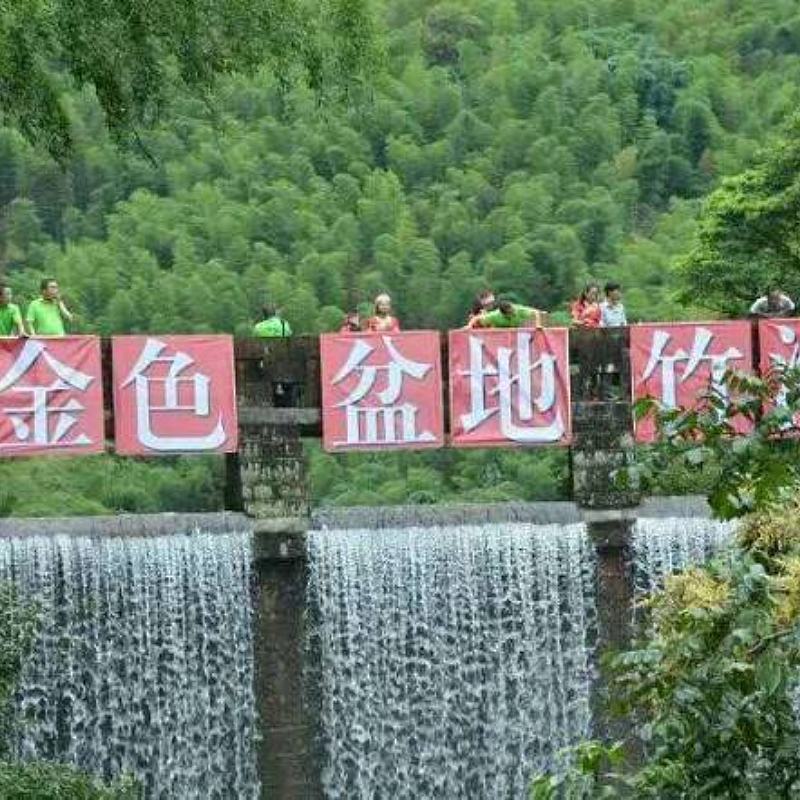 竹叶提取物