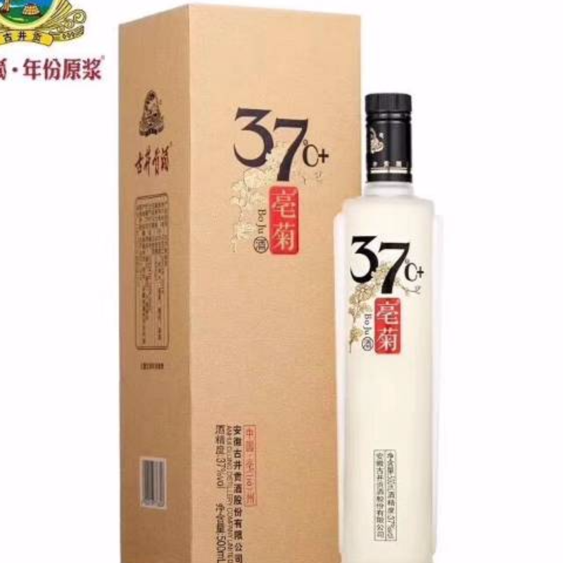 古井贡酒-亳菊（贡品）