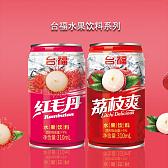台福荔枝爽红毛丹果肉果汁水果饮料310ml 餐饮商超流通