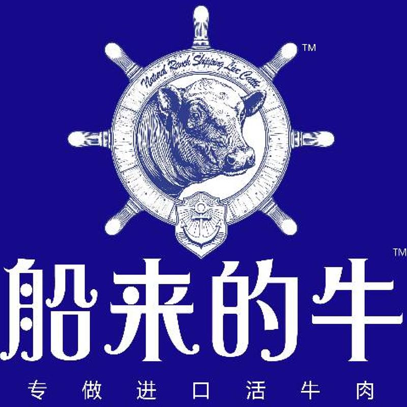 船来的牛牛肉 全案策划