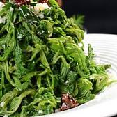 邯郸桑芽菜