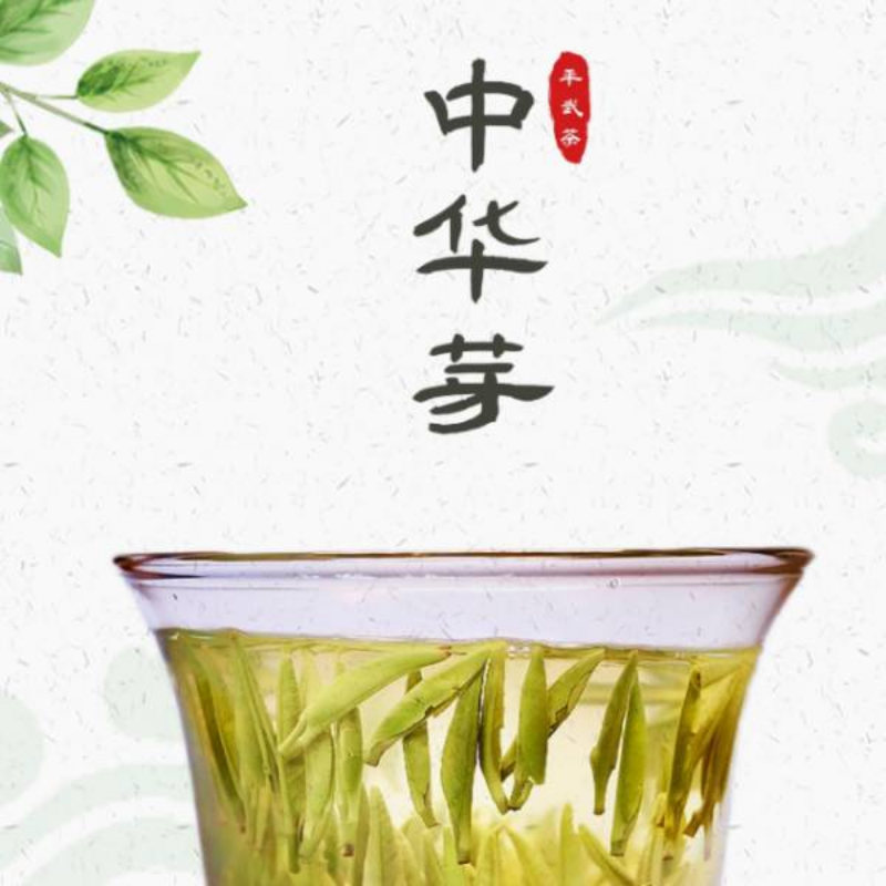 中华芽