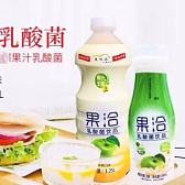 果洽 双发酵乳酸菌