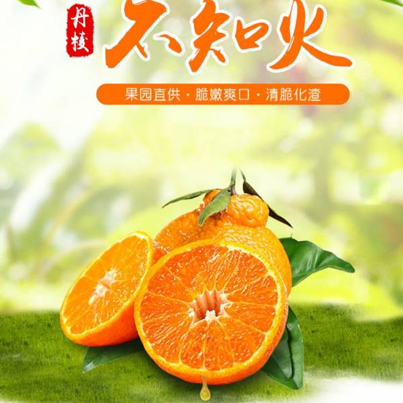 不知火