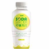 430g苏打水