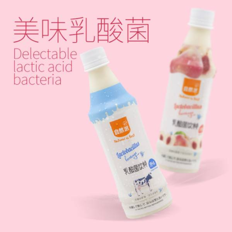 自然派乳酸菌饮料