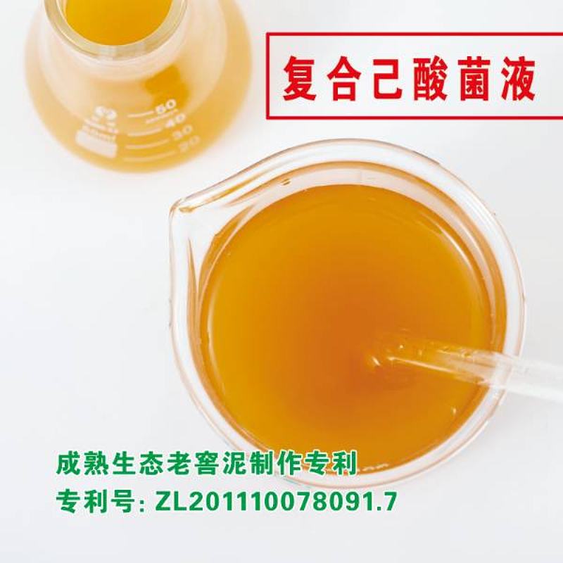 复合己酸菌液