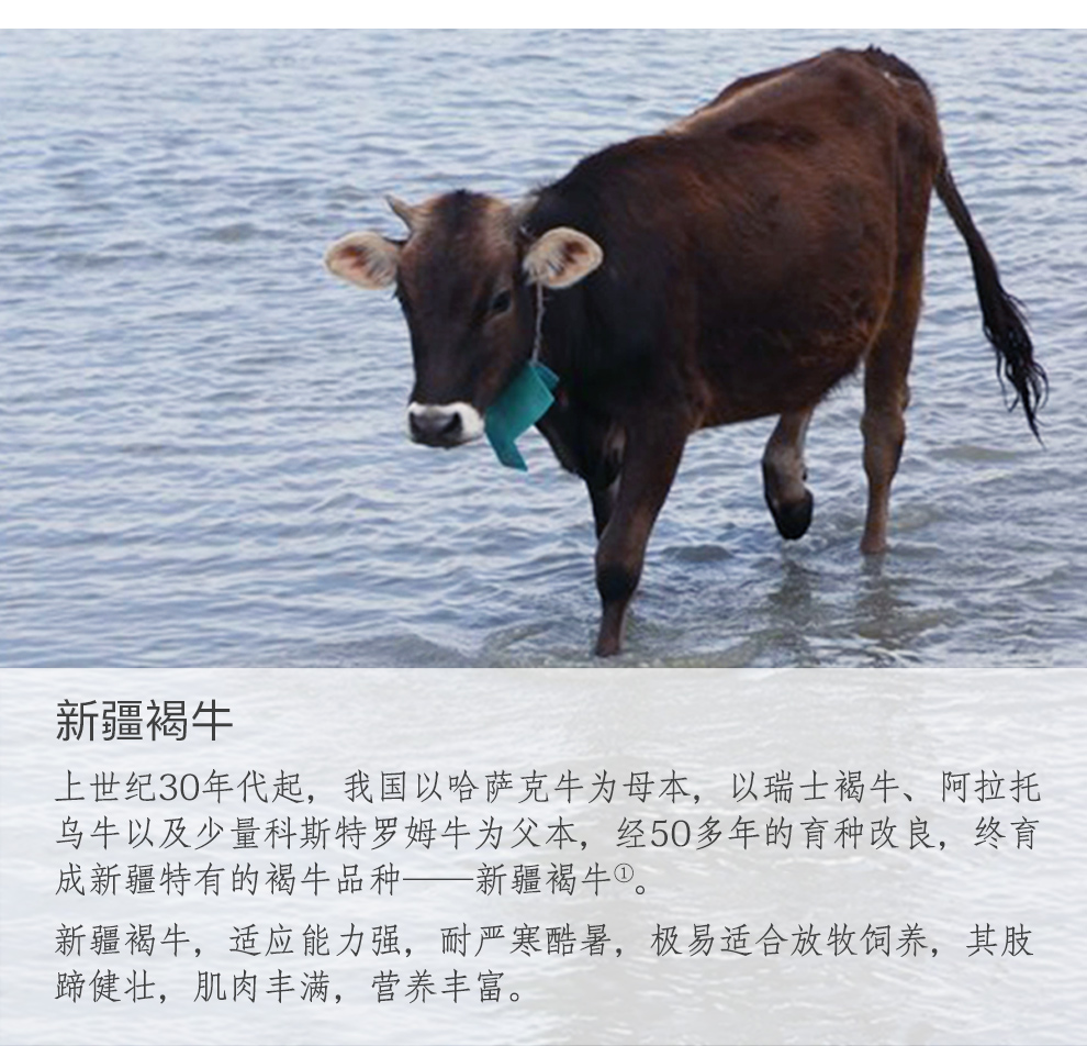 香辣牛肉干50g详情页_05.jpg