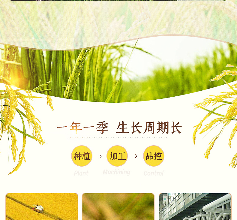 良农嫁稻长粒香详情页_07.jpg