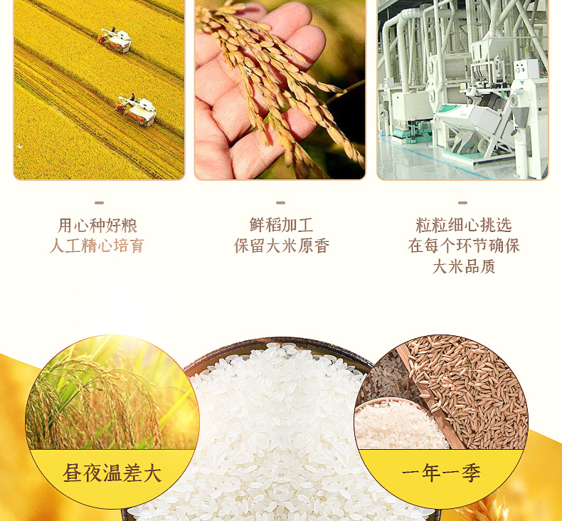 良农嫁稻长粒香详情页_08.jpg
