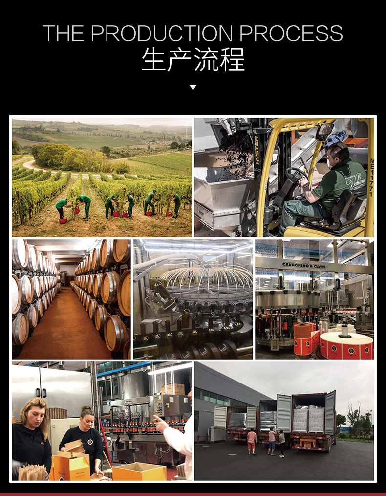 白葡萄_08.jpg