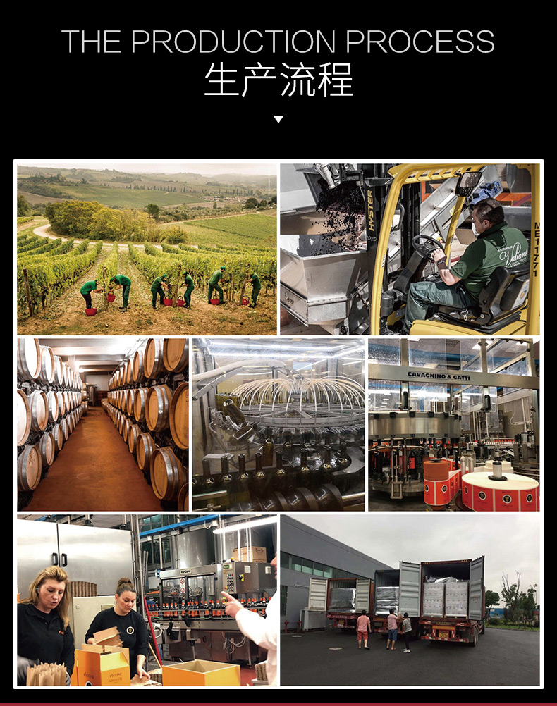 枯藤普利亚_08.jpg