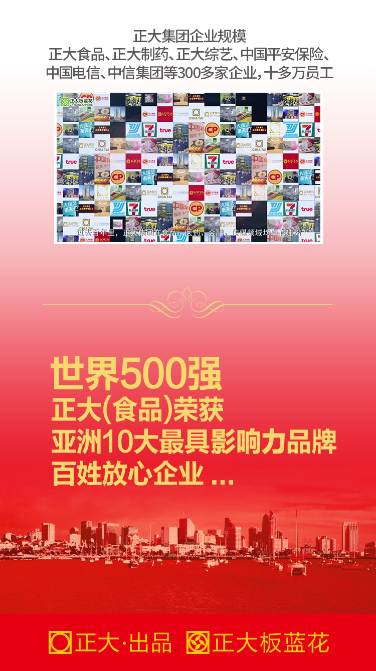 310板蓝花果糖凉茶08.jpg