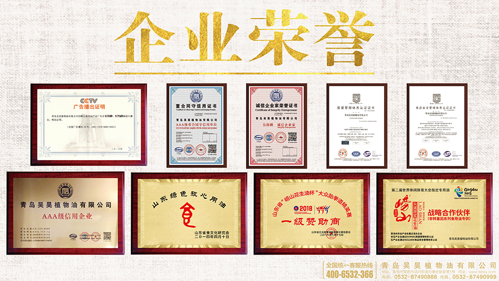 企业荣誉.jpg