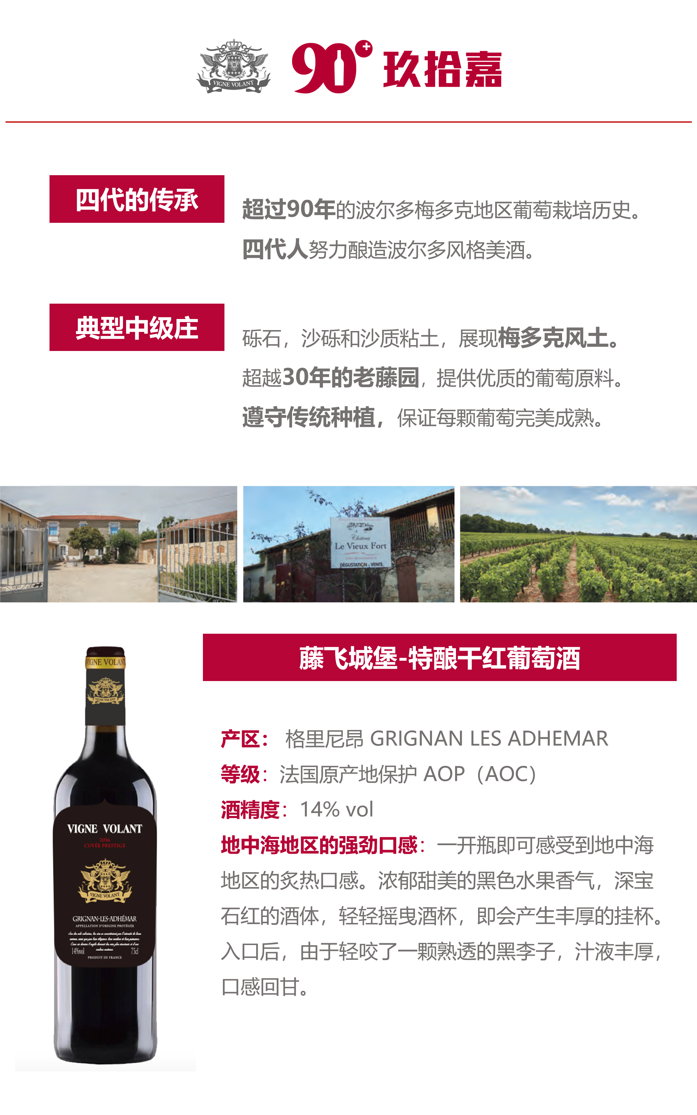 藤飞特酿单页介绍.png