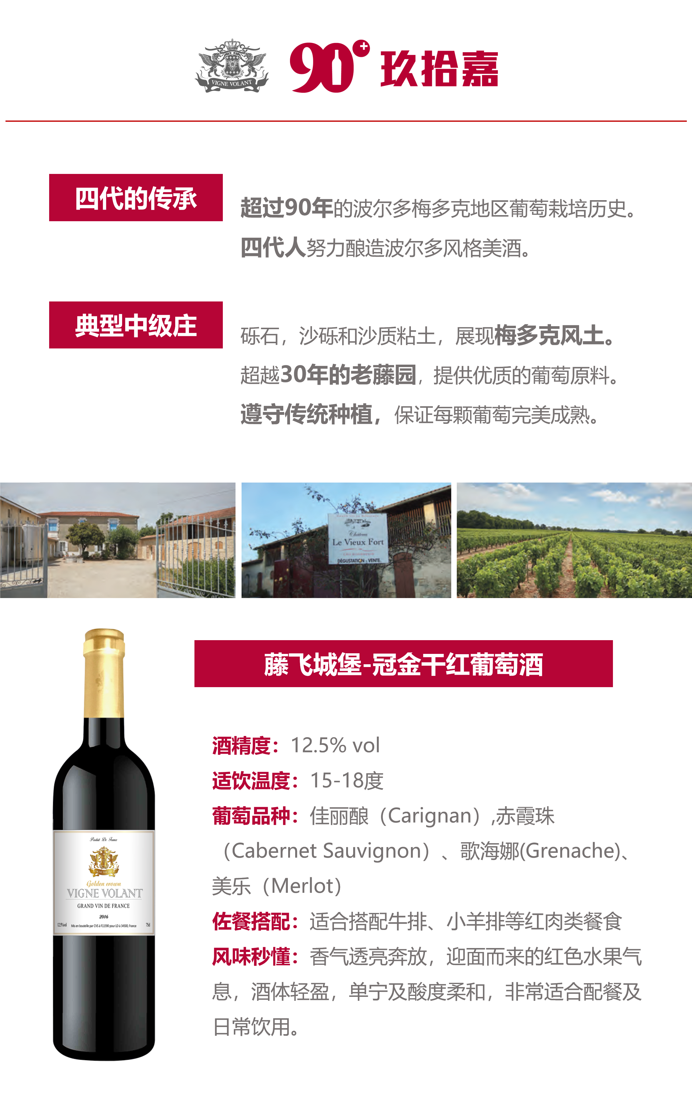藤飞冠金单页介绍.png