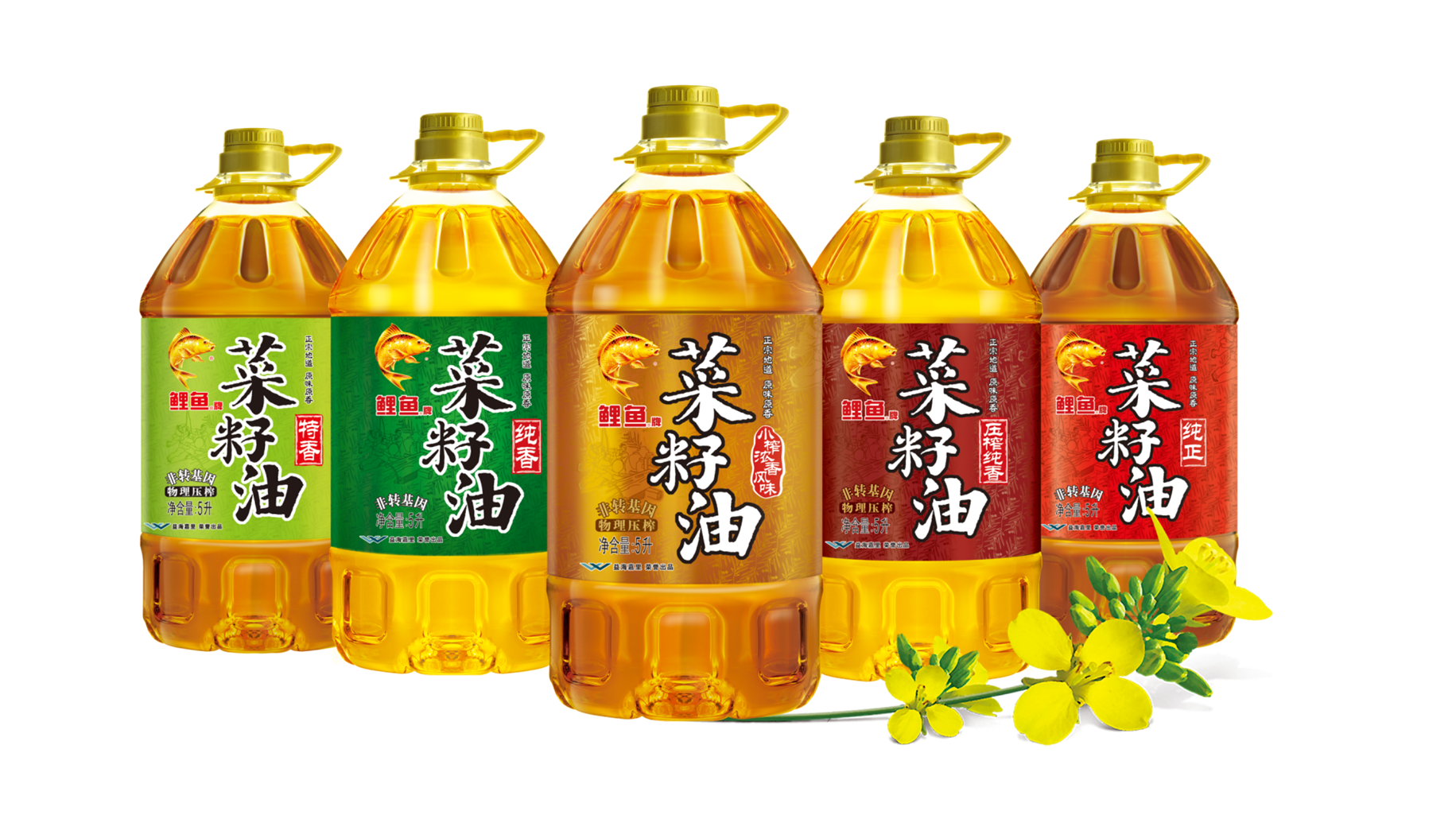 鲤鱼菜籽油111.png