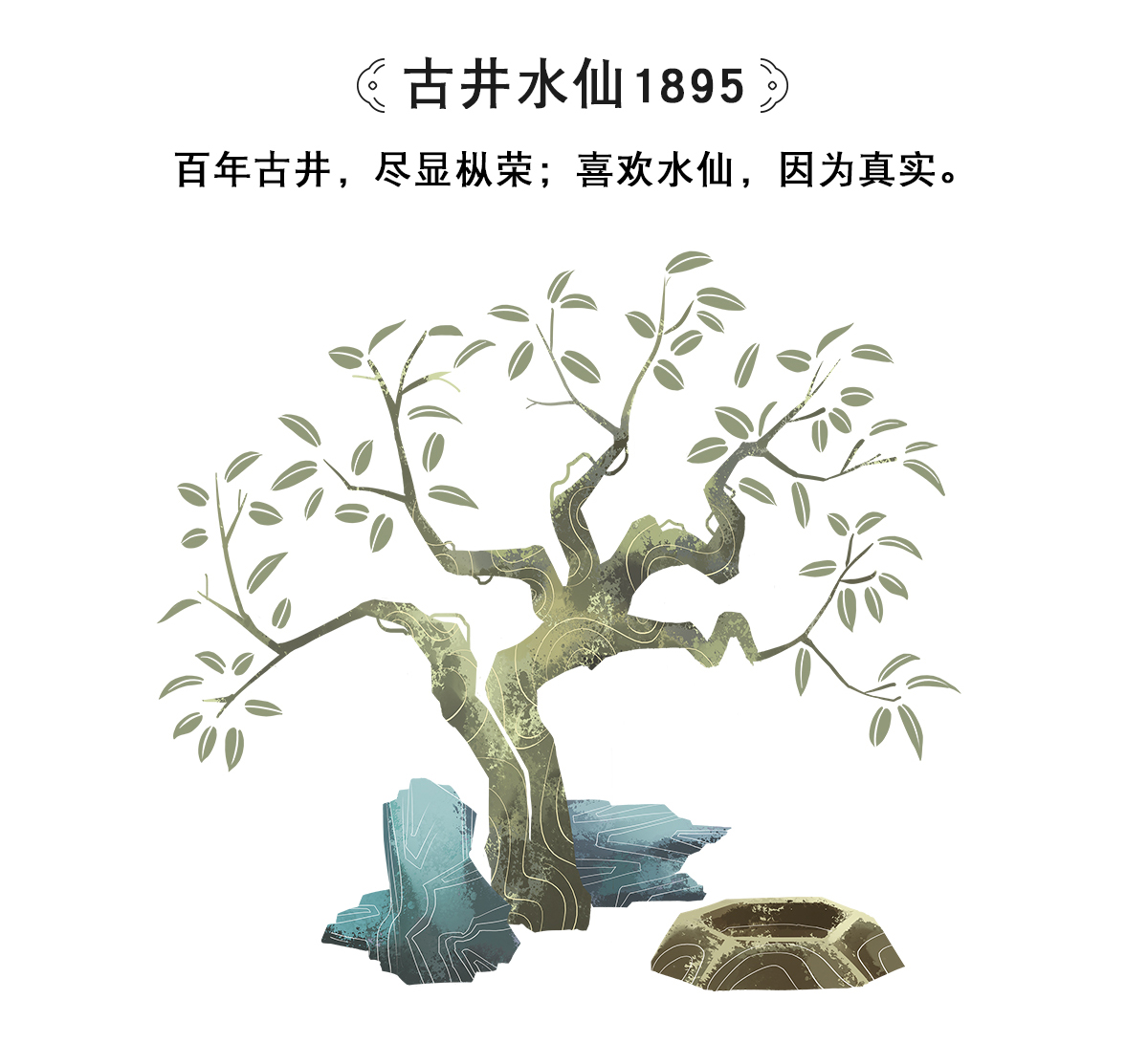 天心明月古井水仙1985--包联网_05.jpg