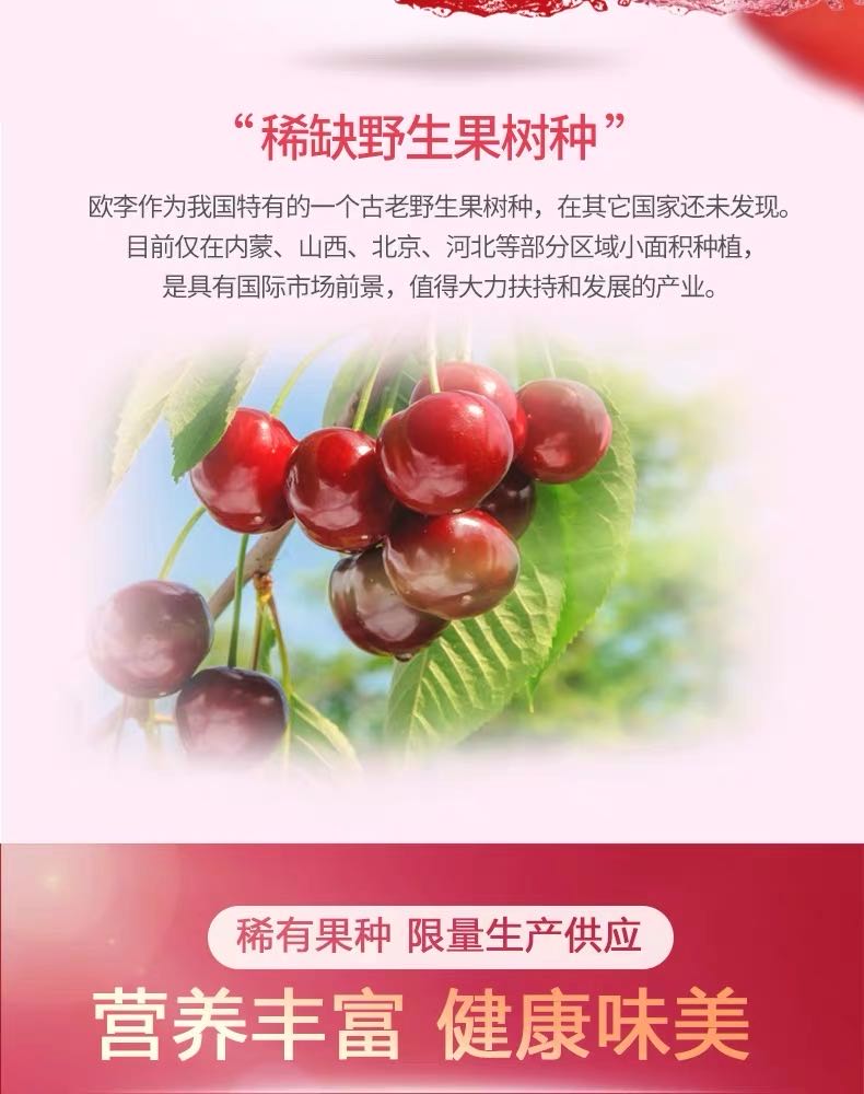 微信图片_20200320204505.jpg