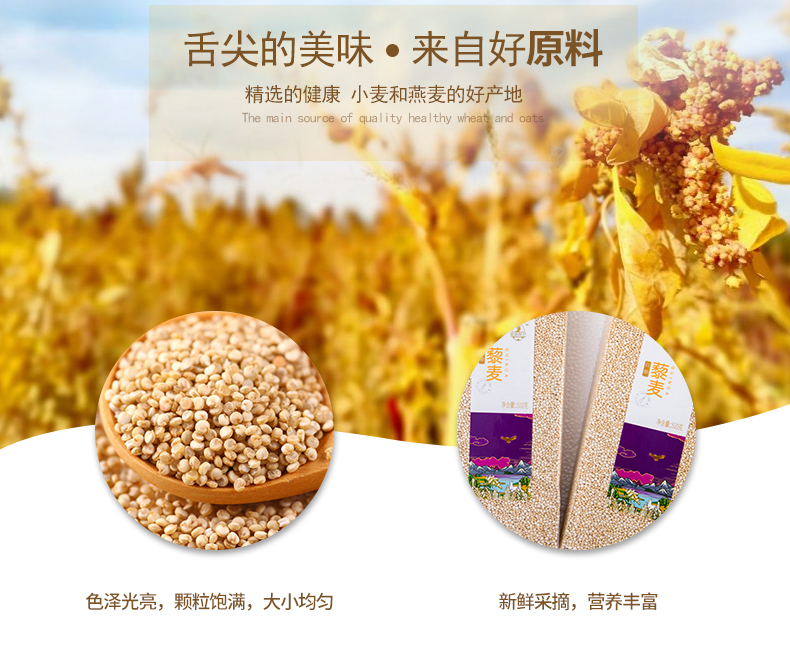 白藜500g4.jpg