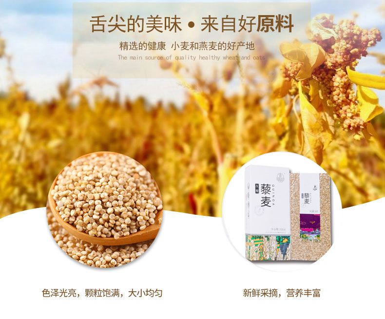 灰藜500g4.jpg