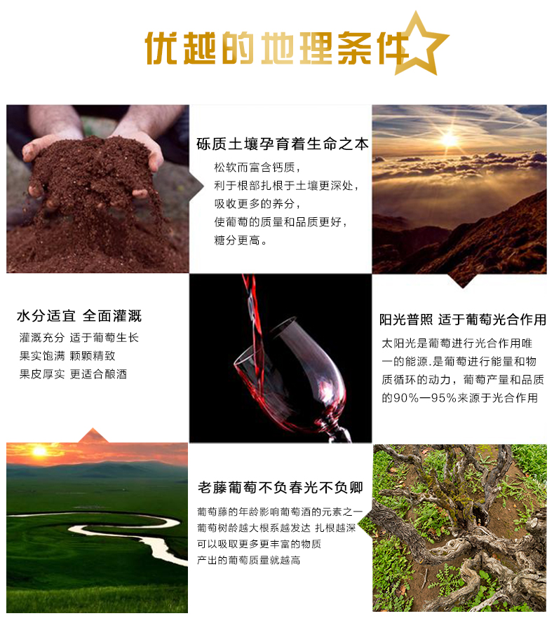 金版蛇龙珠_02.jpg