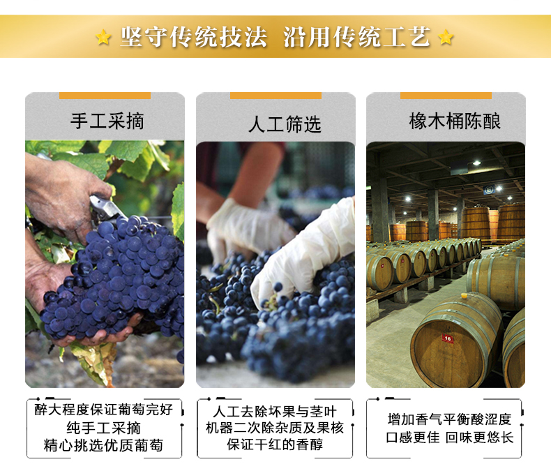 金版蛇龙珠_05.jpg