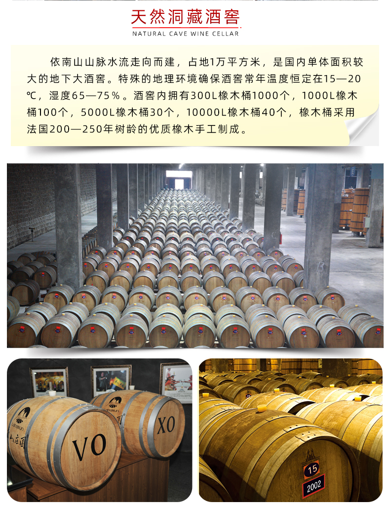 金版蛇龙珠_19.jpg