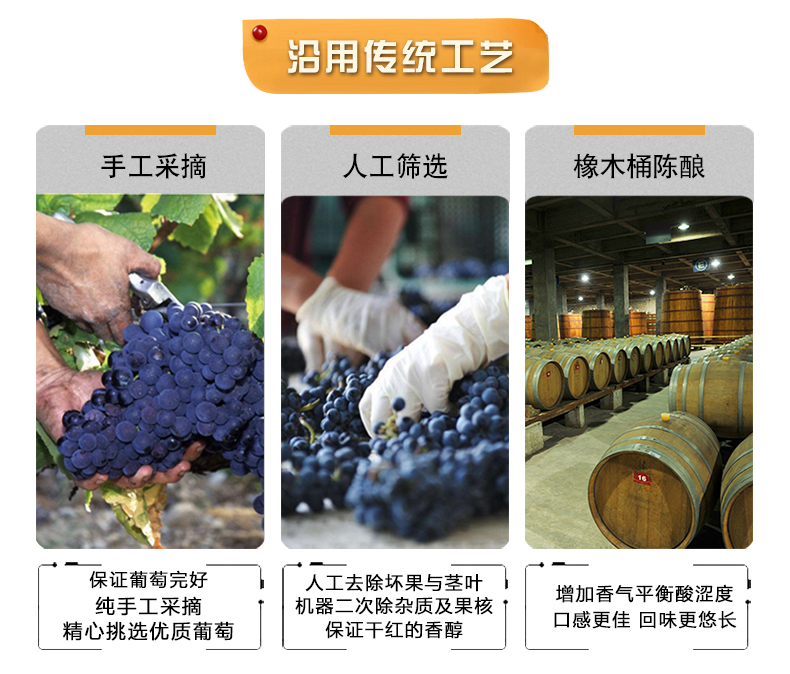 高尔夫西拉_04.jpg