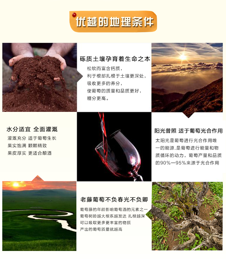 高尔夫西拉_02.jpg
