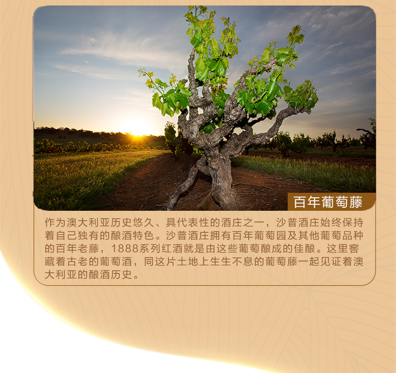 1888详情_05.jpg