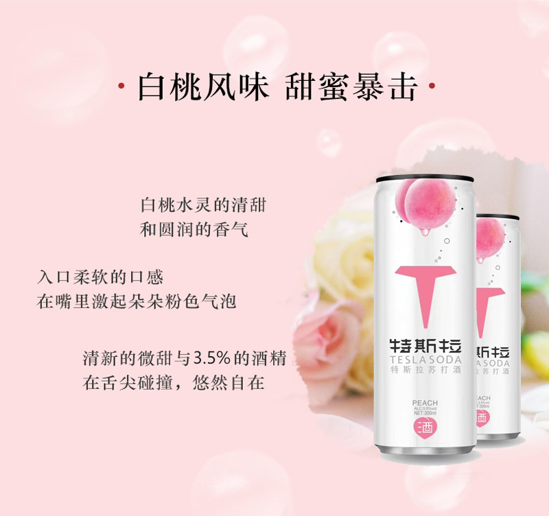 01商品_特斯拉易拉罐装_产品介绍800X_04.jpg