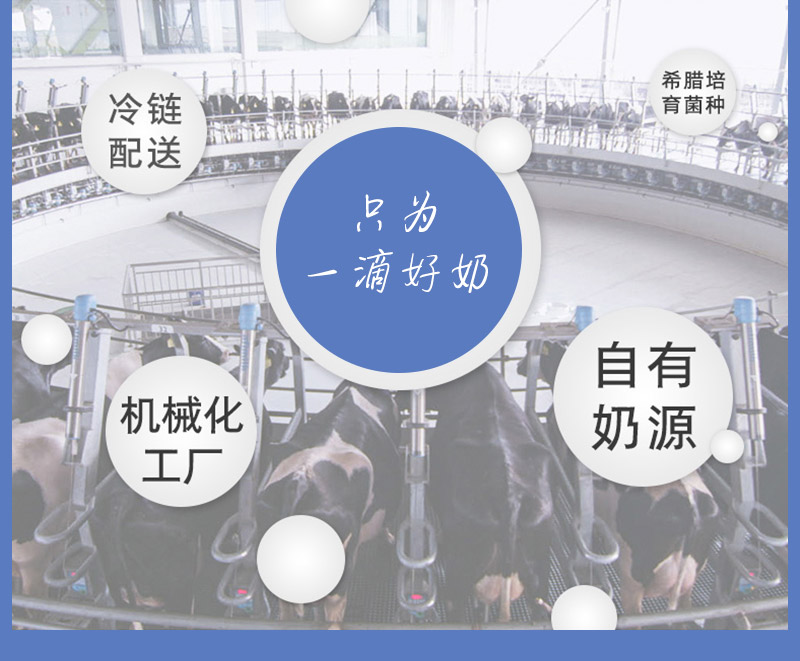 02商品_英女王乳酸菌详情图800_05.jpg
