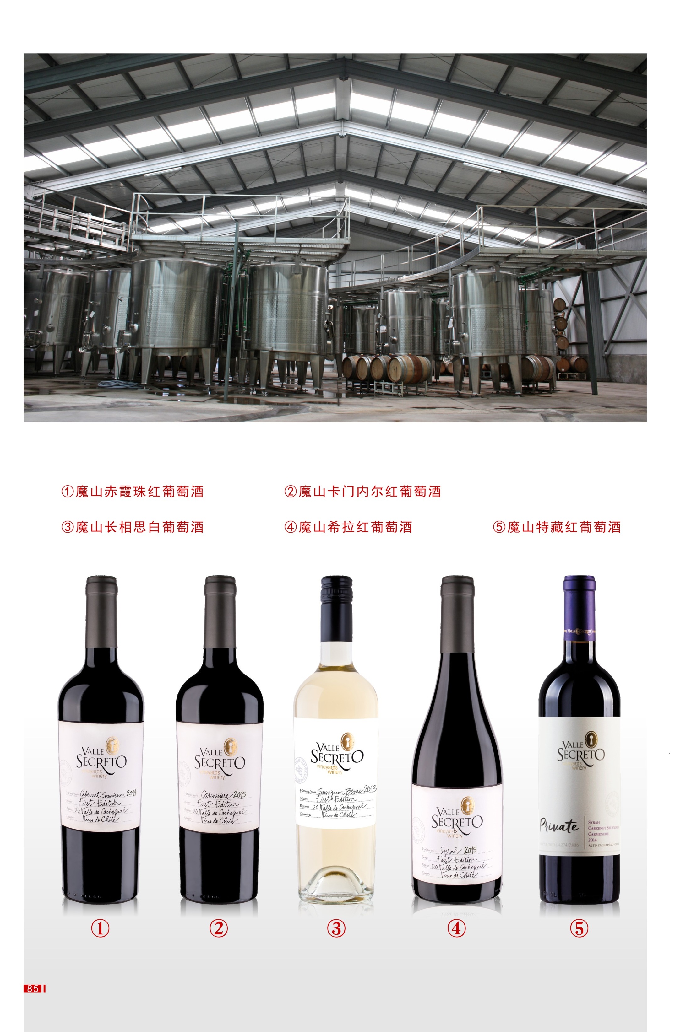 葡萄酒手册下-09 (2).jpg