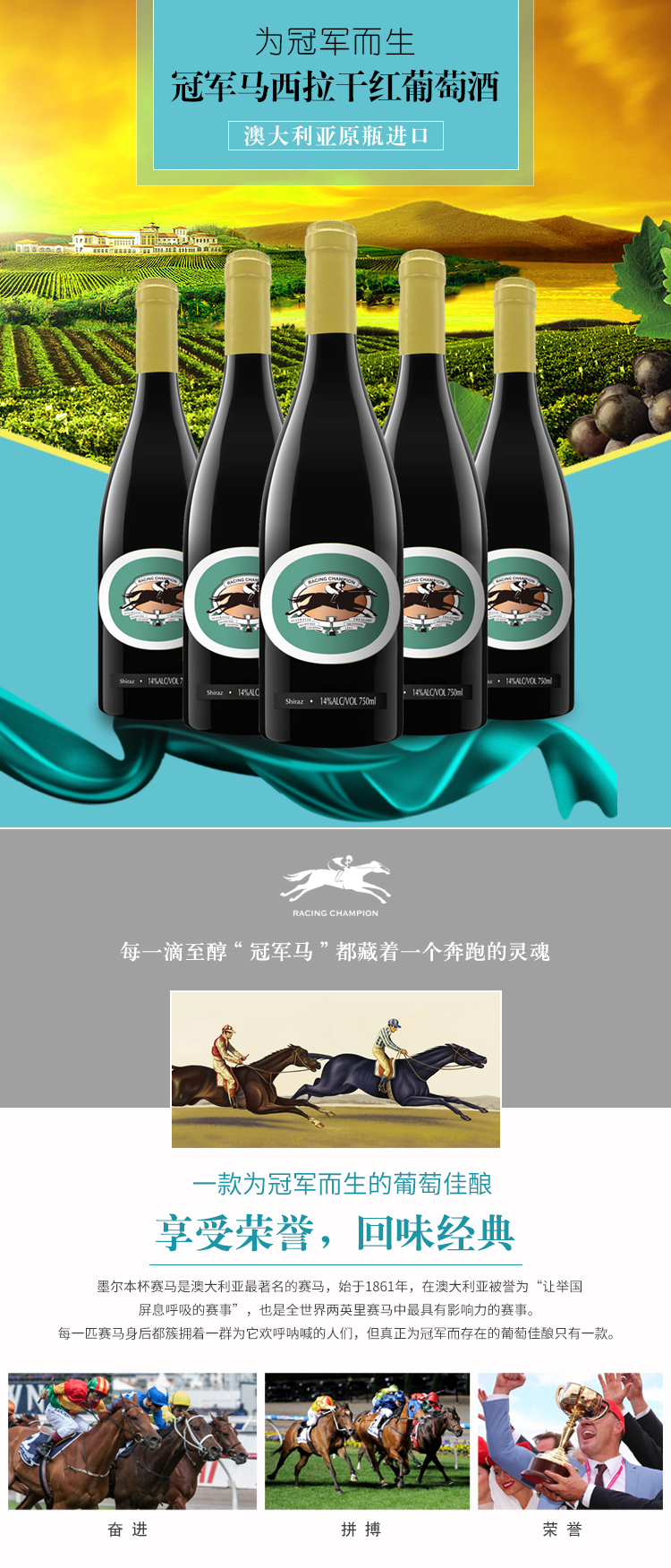 西拉-大肚瓶-详情页_01.jpg