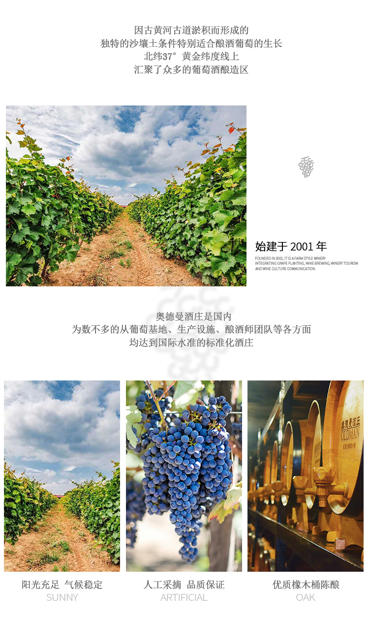 详情_09.jpg