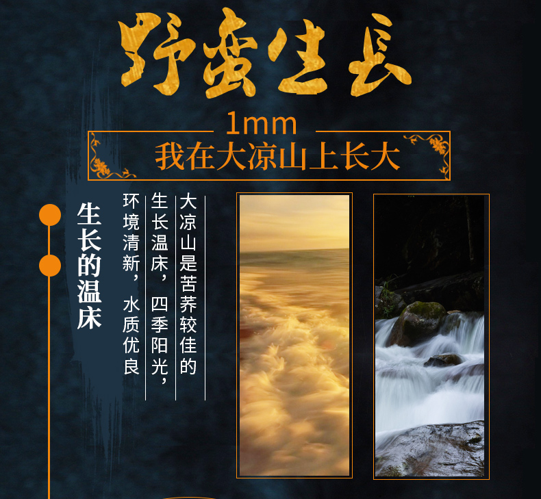 小酒详情_03.jpg