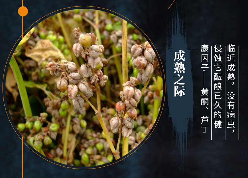 小酒详情_05.jpg
