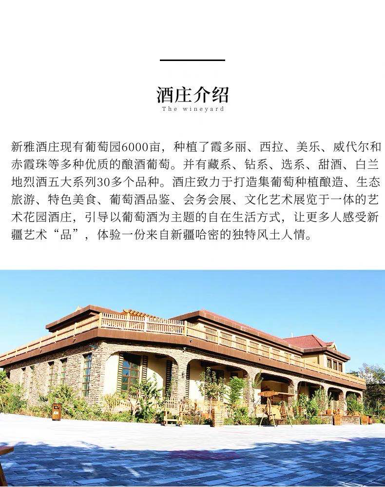 图片 9.png