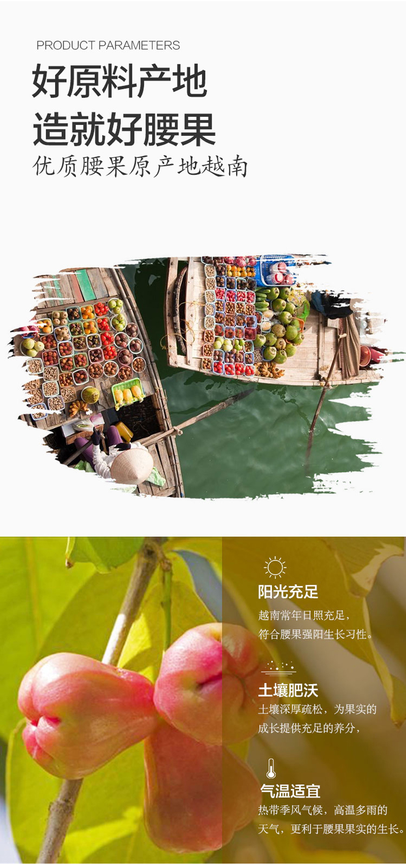 沙巴哇带皮腰果详情页_02.jpg