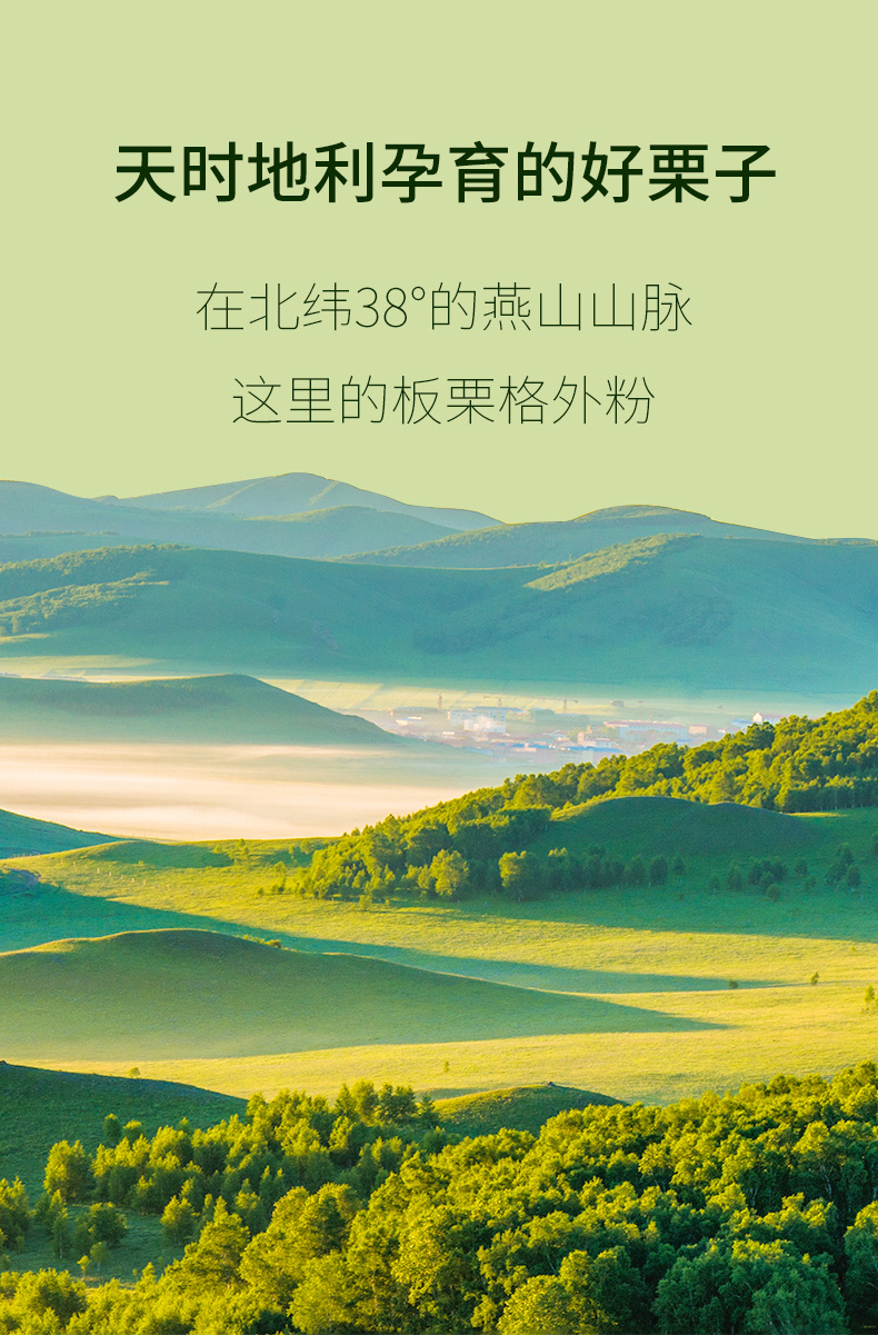 板栗仁详情5.jpg