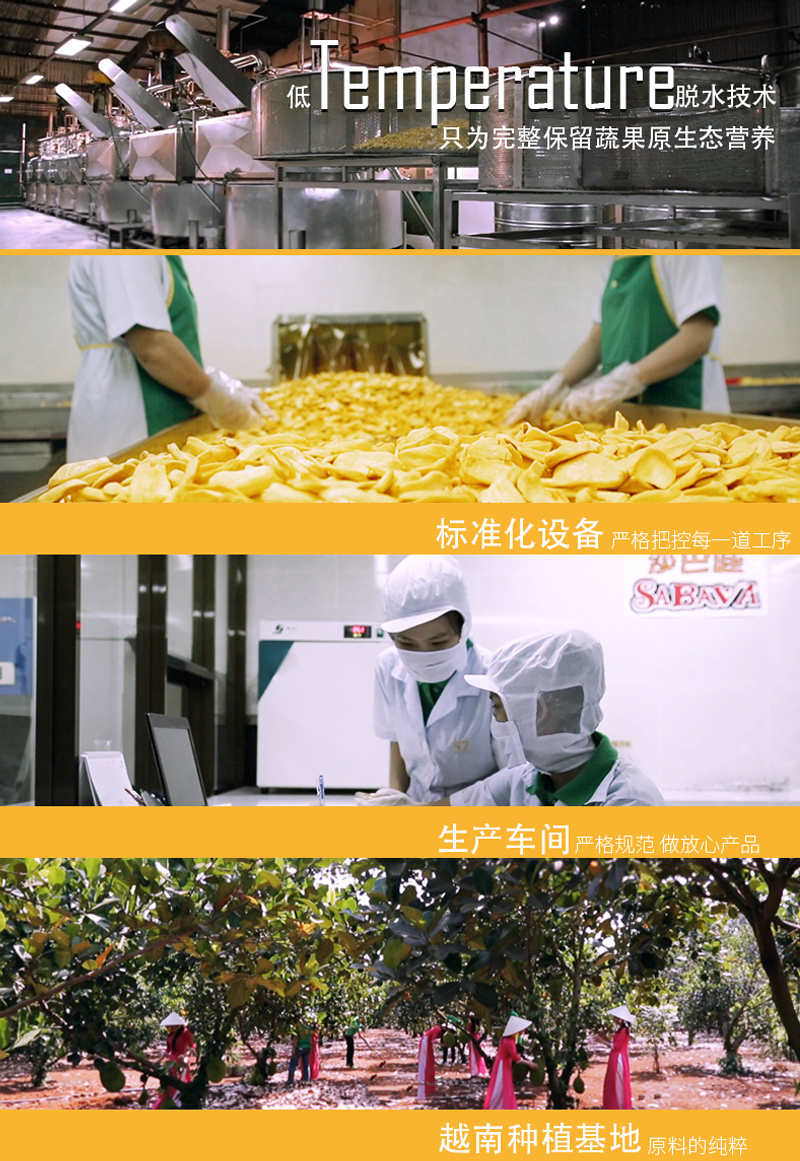 沙巴哇椒盐味紫薯干_06.jpg