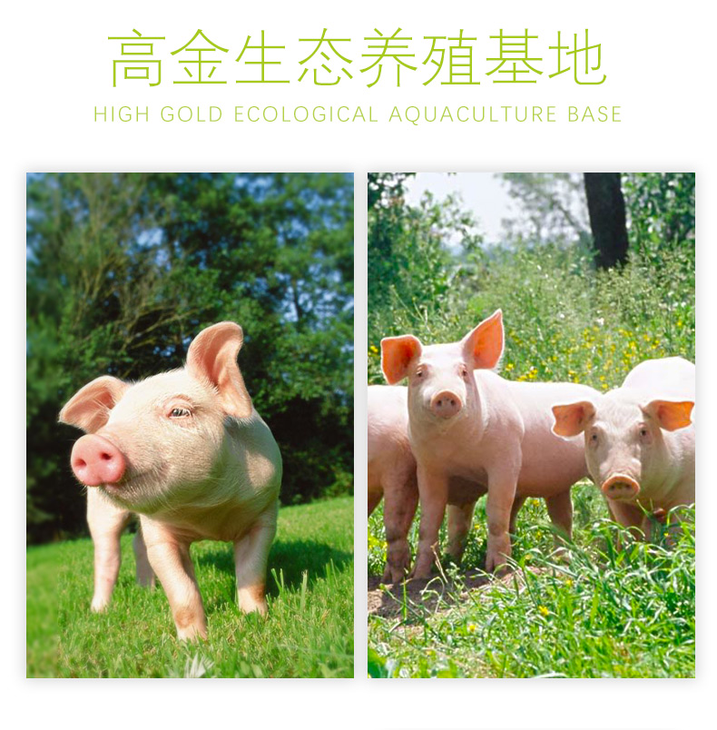 美力红烧肉500g_07.jpg