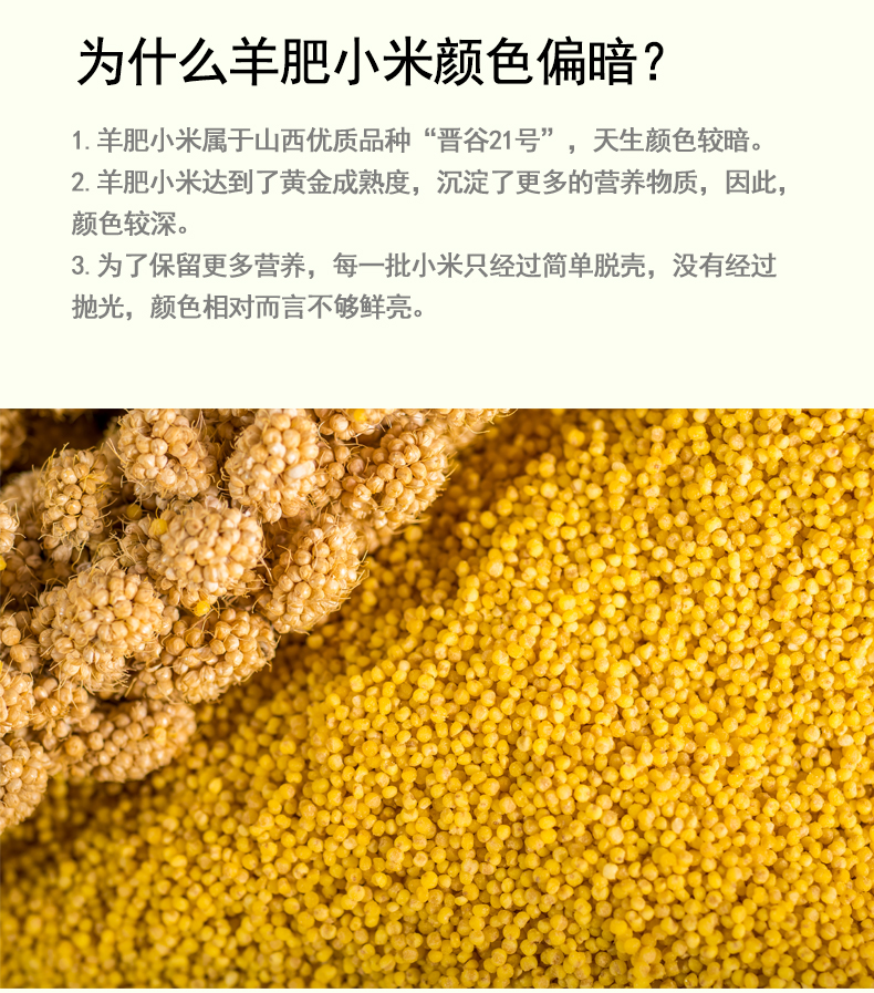 羊肥小米400g新品_03.jpg