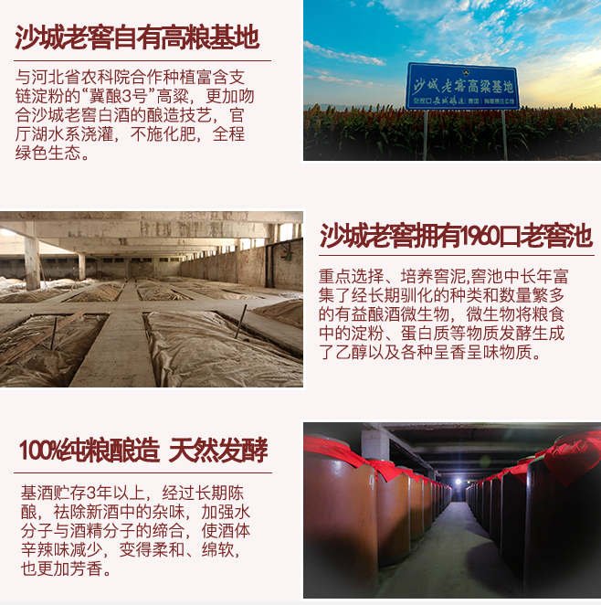 红标详情页_04.jpg