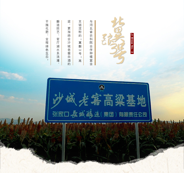 详情_07.jpg