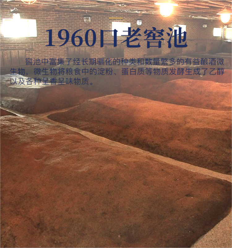jiucang15---副本_09.jpg