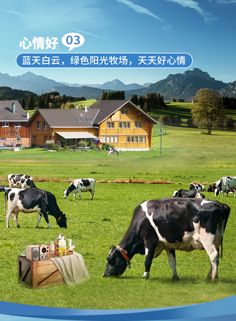 燕麦黄桃100X20_07.jpg