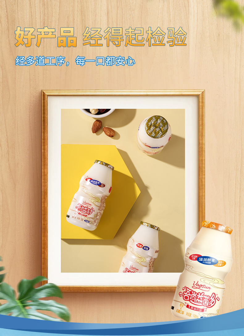 燕麦黄桃100X20_12.jpg