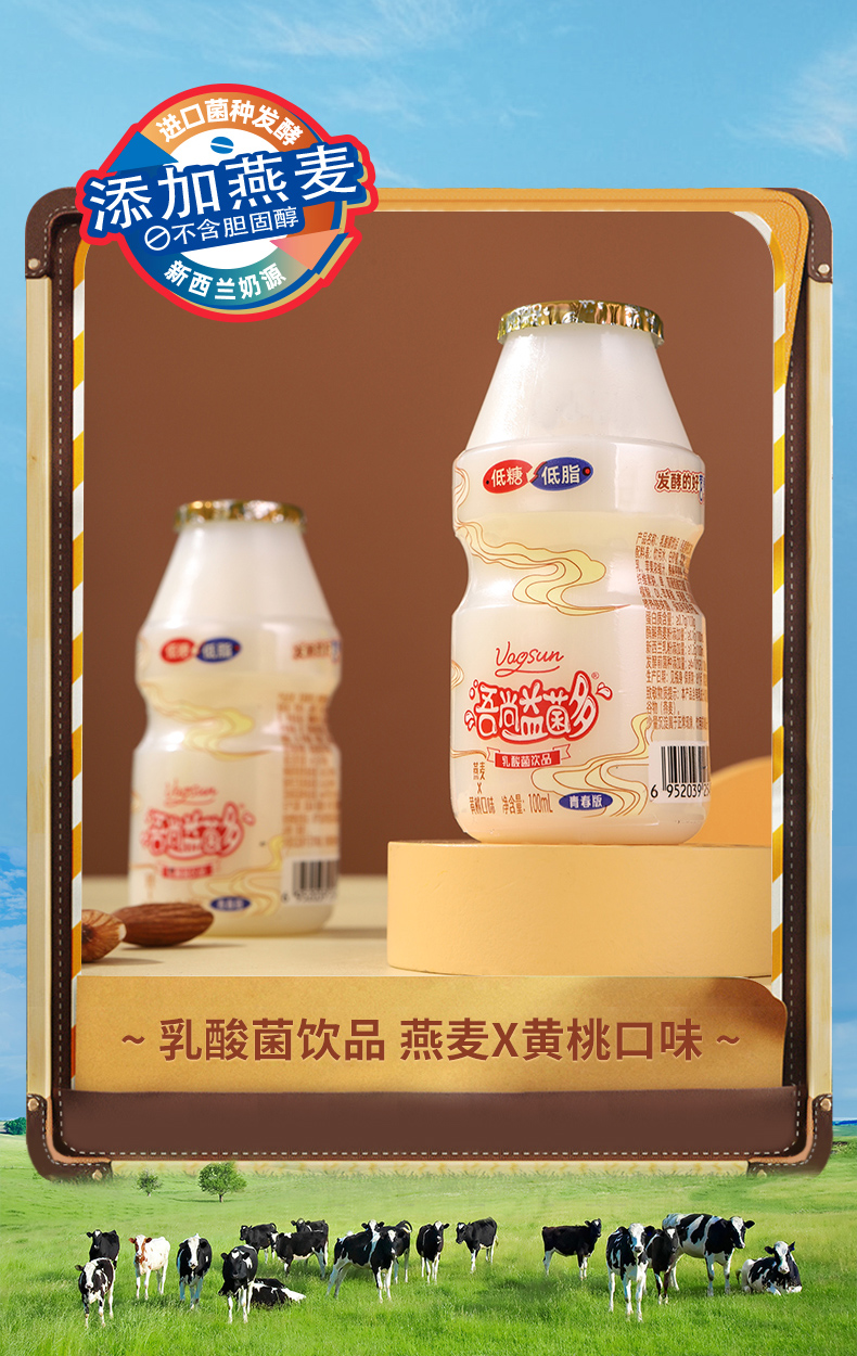 燕麦黄桃100X20_13.jpg